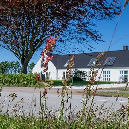 Kunstart20 Bed & Breakfast Saltum