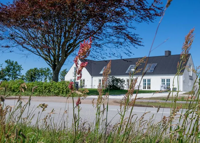 Kunstart20 Bed and breakfast Saltum